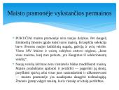 Mėsos naujovės 2 puslapis