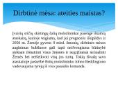 Mėsos naujovės 3 puslapis