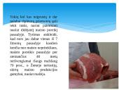 Mėsos naujovės 4 puslapis