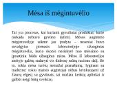 Mėsos naujovės 5 puslapis