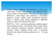 Mėsos naujovės 7 puslapis