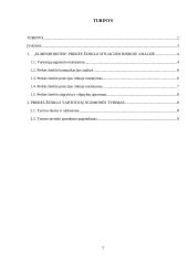 „Elmenhorster” integruotų marketingo komunikacijų planas 2 puslapis