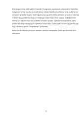 „Elmenhorster” integruotų marketingo komunikacijų planas 11 puslapis