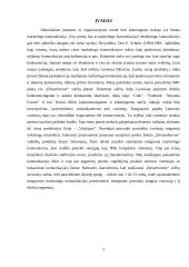 „Elmenhorster” integruotų marketingo komunikacijų planas 3 puslapis