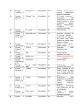 Viešbučių klasifikacija 5 puslapis