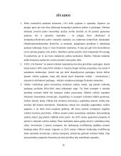 UAB VIA FEMINA pelno-nuostolių analizė 16 puslapis