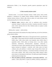 UAB VIA FEMINA pelno-nuostolių analizė 6 puslapis