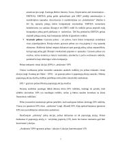 UAB VIA FEMINA pelno-nuostolių analizė 7 puslapis