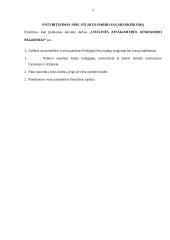 Civilinės atsakomybės atsiradimo pagrindai 2 puslapis