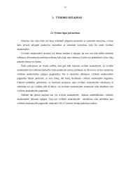 Civilinės atsakomybės atsiradimo pagrindai 11 puslapis