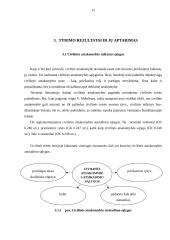 Civilinės atsakomybės atsiradimo pagrindai 12 puslapis