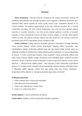 Civilinės atsakomybės atsiradimo pagrindai 4 puslapis