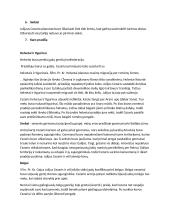 Gajus Julijus Cezaris ir Galijos užkariavimas 4 puslapis