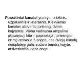 Klausos ir pusiausvyros sensorinė sistema 12 puslapis