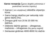 Klausos ir pusiausvyros sensorinė sistema 14 puslapis