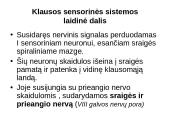 Klausos ir pusiausvyros sensorinė sistema 16 puslapis