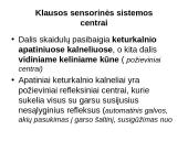 Klausos ir pusiausvyros sensorinė sistema 18 puslapis