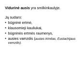 Klausos ir pusiausvyros sensorinė sistema 5 puslapis