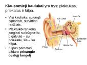 Klausos ir pusiausvyros sensorinė sistema 7 puslapis