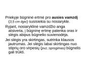 Klausos ir pusiausvyros sensorinė sistema 8 puslapis