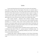 Peties traumos reabilitacija 2 puslapis