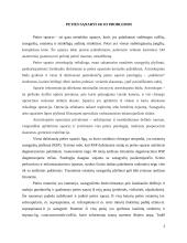 Peties traumos reabilitacija 3 puslapis