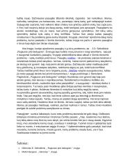 Kartų problemos aprašomos paauglių literatūroje 2 puslapis