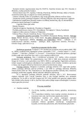 Gamybos technologija ir organizavimas - pasiruošimas egzaminui 2 puslapis
