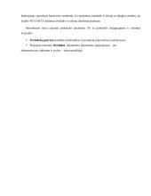 Dokumentų teorija ir pavyzdžiai 13 puslapis