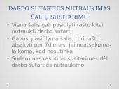 Darbo sutarties nutraukimo pagrindai 13 puslapis