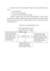 Verslo teisė - savarankiškas darbas 6 puslapis