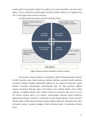 Veiksniai (sąlygos), skatinantys ir stabdantys ikimokyklinio ir priešmokyklinio ugdymo įstaigų strategijų, grindžiamų darnaus vystymosi vertybėmis, kūrimą ir įgyvendinimą 11 puslapis