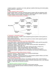 Valdymo apskaita egzamino konspektas 2 puslapis