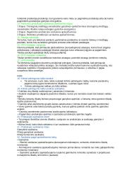 Valdymo apskaita egzamino konspektas 3 puslapis