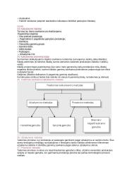 Valdymo apskaita egzamino konspektas 4 puslapis