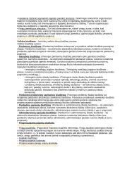 Valdymo apskaita egzamino konspektas 6 puslapis