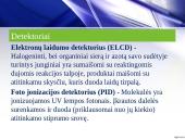 Dujų chromatografija ir jai taikomi detektoriai 13 puslapis