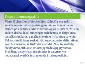 Dujų chromatografija ir jai taikomi detektoriai 5 puslapis