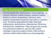 Dujų chromatografija ir jai taikomi detektoriai 6 puslapis