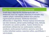 Dujų chromatografija ir jai taikomi detektoriai 8 puslapis