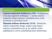 Dujų chromatografija ir jai taikomi detektoriai 9 puslapis