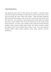 Dailės priemonės ir technikos dirbant ne patalpoje 9 puslapis