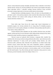 Kompiuteriniai virusai, jų įvairovė 12 puslapis