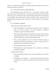 Informacinės laikmenos referatas 13 puslapis