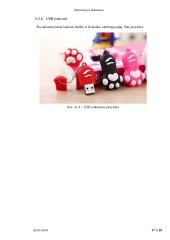 Informacinės laikmenos referatas 17 puslapis