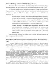 Slaugytojų patiriamų stresorių darbe, D tipo elgsenos ir profesinio pervargimo sąsaja 5 puslapis