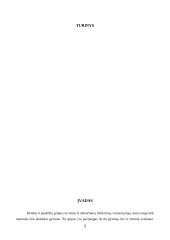 Kiaulių ir paukščių gripas 2 puslapis