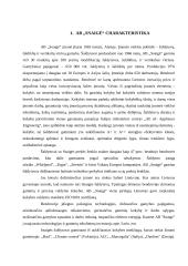 Įmonės „Snaigė“ veiklos analizė 4 puslapis