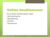 Pristatymas apie teisės pažeidimus 12 puslapis