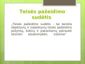 Pristatymas apie teisės pažeidimus 13 puslapis